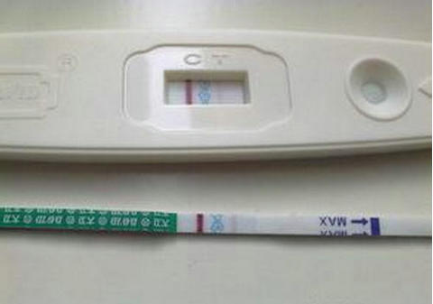单身同志供卵公司